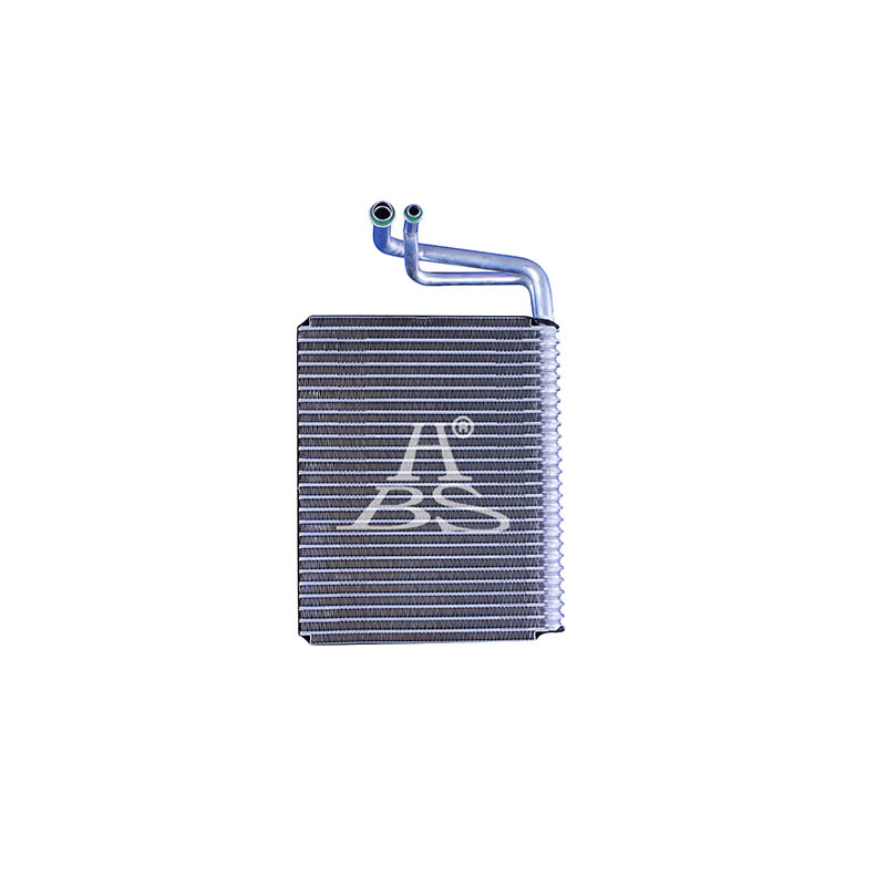 Evaporator For A2208300758